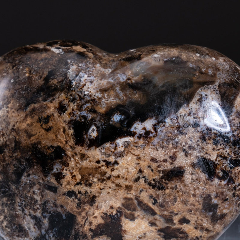 Polished Brown/Black Petrified Wood Heart From Madagascar (0.7716 Ibs)