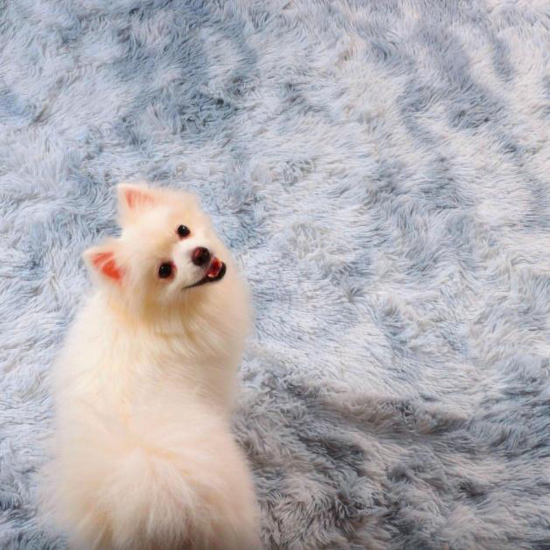 High Plush Shaggy Area Rugs
