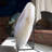Polished Brazillian Agate with Stand