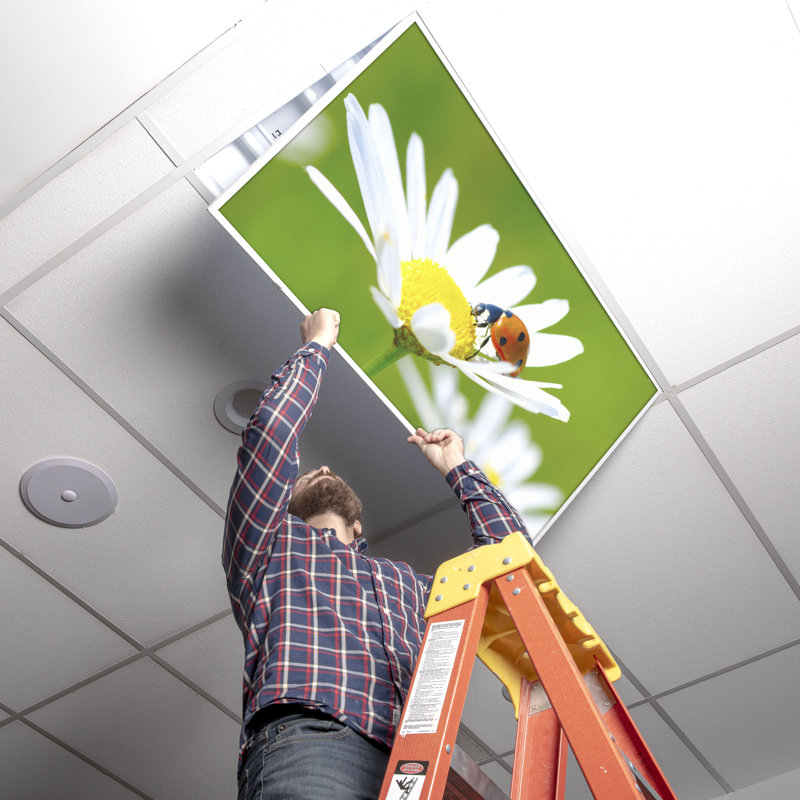 Octo Lights - Fluorescent Light Covers - Flexible Decorative Light Diffuser Panels - Flower - For Classrooms And Offices - Flower 002