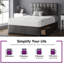 Galarza Divan Bed Base-1485787447-1485787598-1485787608