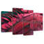 Plume Brampt-108862971