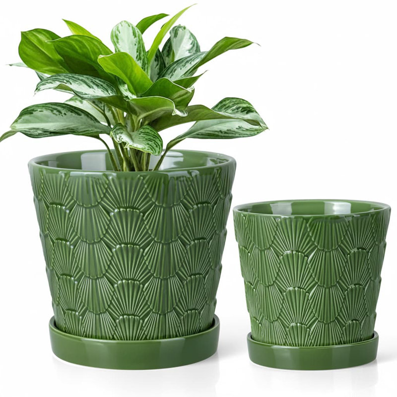 2-Piece White Ceramic Plant Pots (5+6 Inch, Drainage & Tray), Green