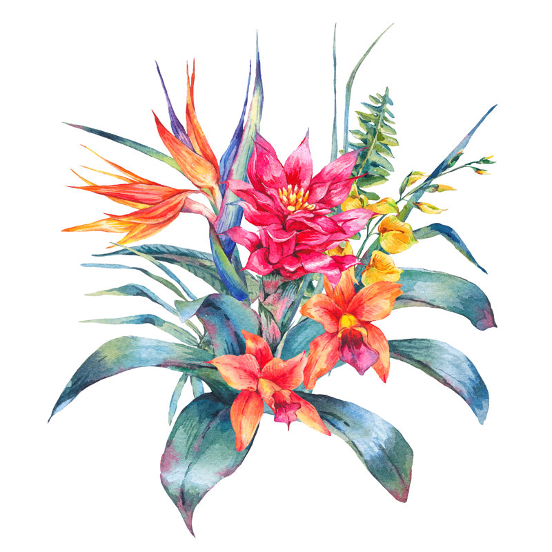 Tropical, 76cm H x 76cm W x 3.8cm D
