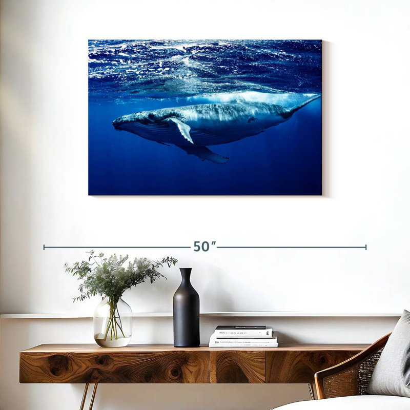 Brampt Humpback Whale Below Surface, 24'' H x 36'' W