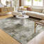Oriental Area Rug-341633479