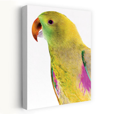 Art contemporain, oiseau abstrait, art tropical