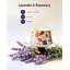 Lavender Designer Candle with Solid Wood Holder