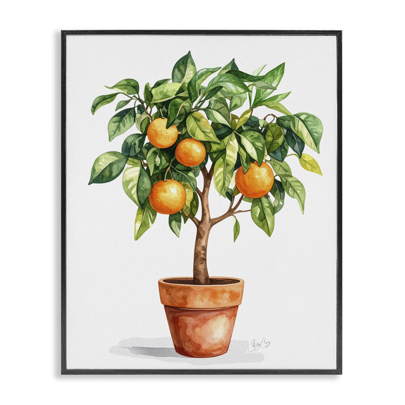 Giclée encadrée d'arbre d'orange en pot, design par Shelly Craig, Giclée noire de minuit encadrée, H 14 po x l 11 po