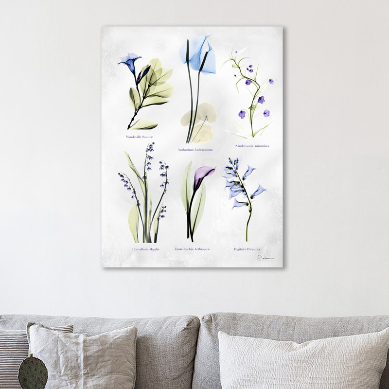 Vast Botanicals - Wrapped Canvas Print, 41 cm H x 30 cm W