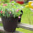 Quindarrius Outdoor Railing Planter-194092695