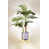 Beech Natural is out of stock selected