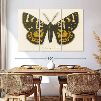 Brampt Natures Butterfly V