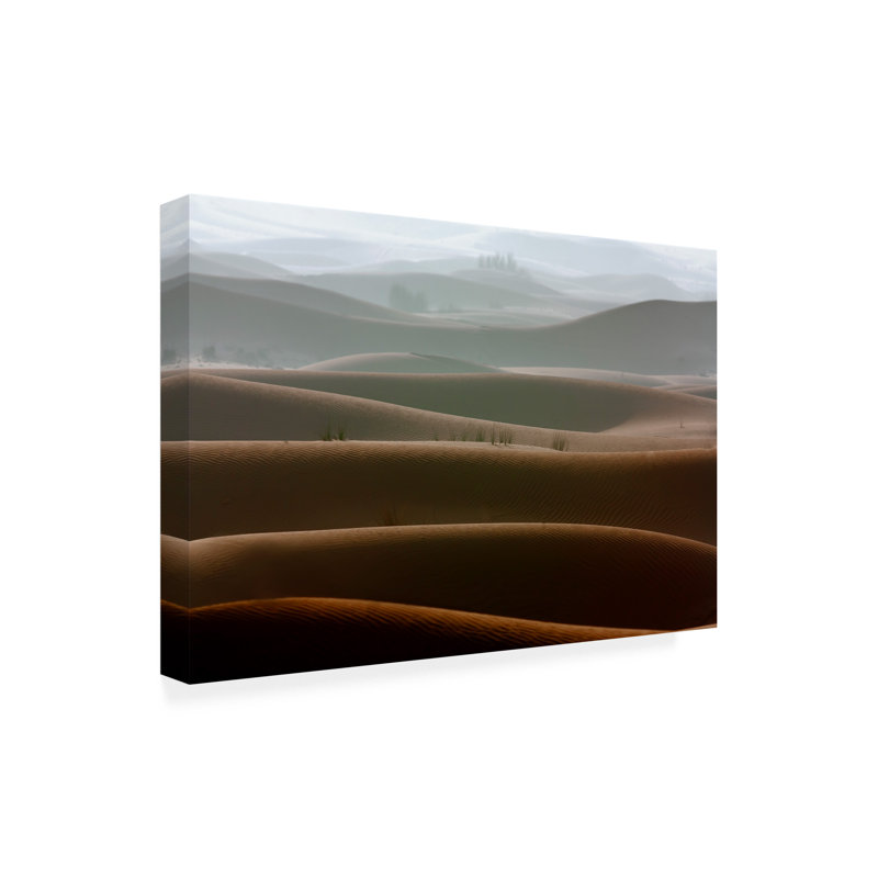 «Foggy Morning» sur toile, L 19 po x H 12 po