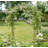 152cm W x 53cm D Steel Arbour in Black