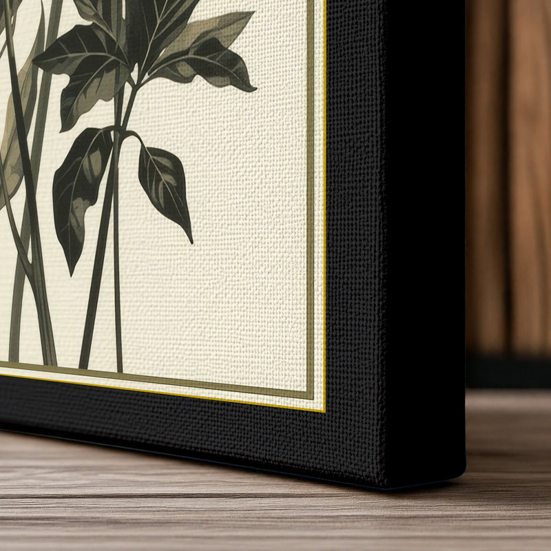 Carnation Study Botanical - Wrapped Canvas, 18x12 - 45.7 x 30.5 cm, Black Border