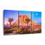 Nature, "Joshua Tree National Park, reproduction d'art sur toile" sur-98865987