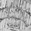 Carrillo Crystal Flush Mount