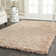Assar Shag Beige Area Rug 