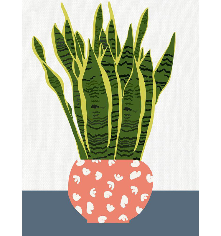 «Red Barrel Studio® Bucheli, Jen», reproduction d'art sur toile tendue: plante en pot, H 47 po x l 36 po