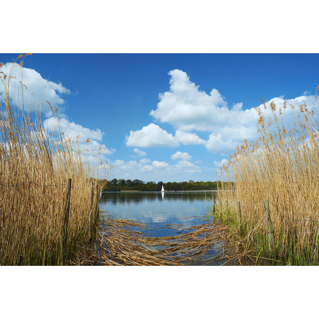 Segeln auf dem Frensham Great Pond in den Surrey Hills von Simonbradfield - Ohne Rahmen auf Leinwand drucken