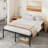 Osburn 16.5" Sturdy Metal Bed Frame-620983630