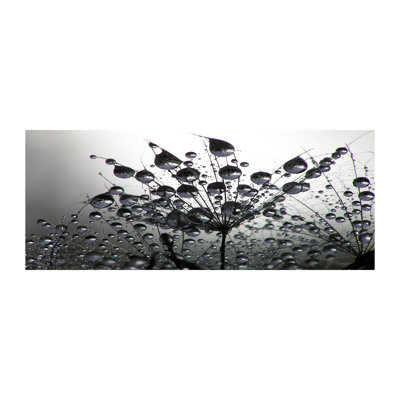 Dandelion Seeds - No Frame Print on Canvas