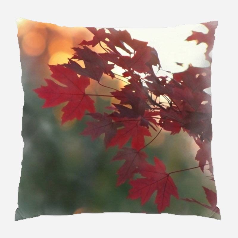 Outdoor Reversible Throw Pillow