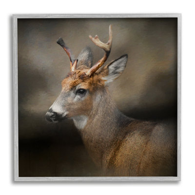 " Woodland Deer Nature " Color Photography Print
