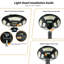 Lampadaire solaire Fontane 750-LED avec mât en acier de 10 pi et télécommande-1292735885-1304666922