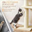 Ensemble de tablettes murales 3 en 1 avec poteau à griffer pour chatons d'intérieur