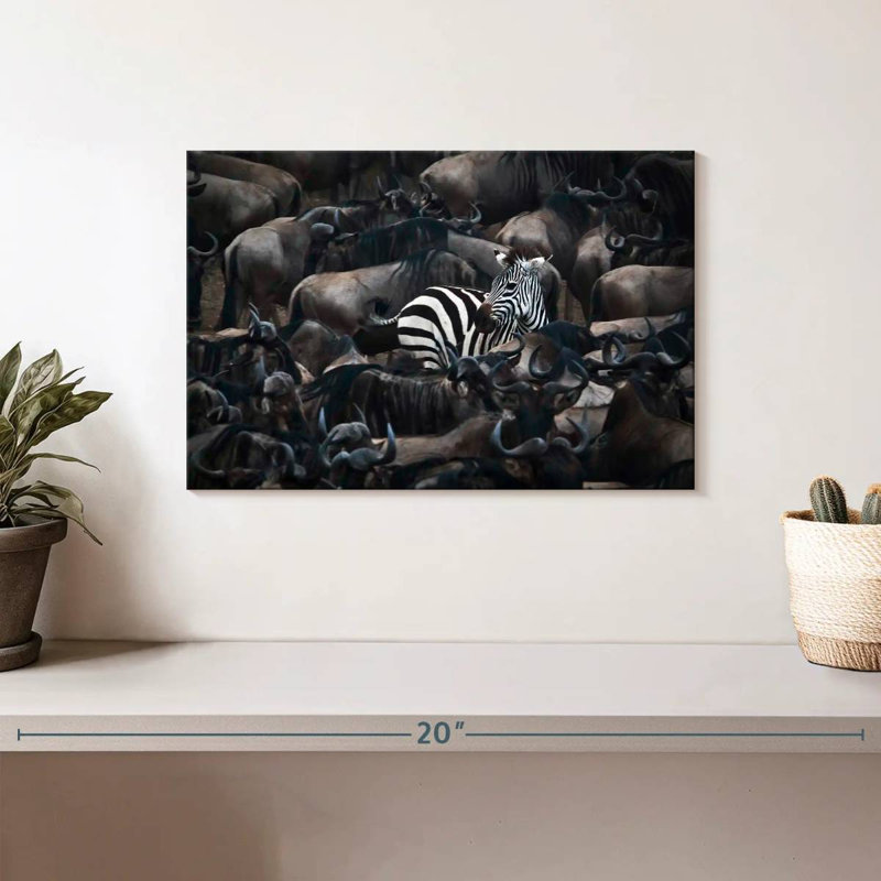 Brampt Zebra Among Wildebeests, 8" H x 12" W