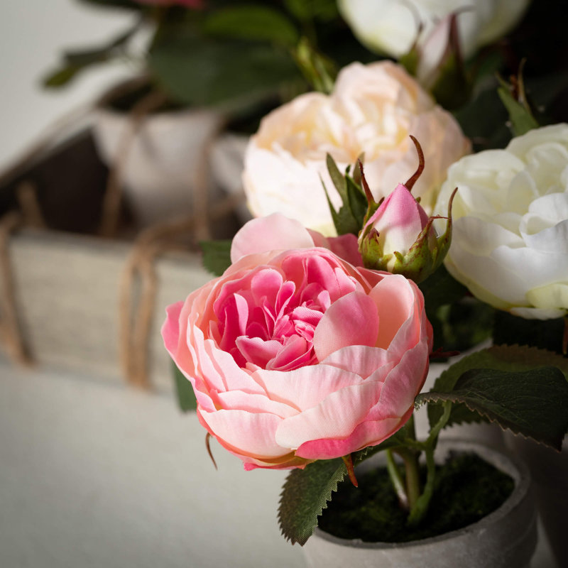 Arrangement de roses