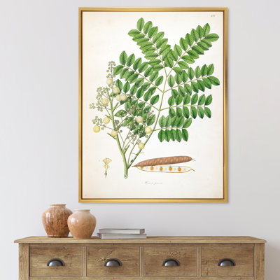 Vintage Botanicals VII - peinture sur toile