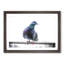 Pigeon Bird on a Wire - Picture Frame Painting Print-55583644-55583649