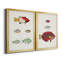 Colorful Tropical Fish I - ensemble de 2 reproductions d'art sur toile-1102423571-1102423570