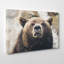 Brown Grizzly Bear Photographic - Wrapped Canvas-19090804