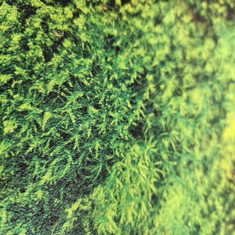 Maddis Abstract Double Roll
