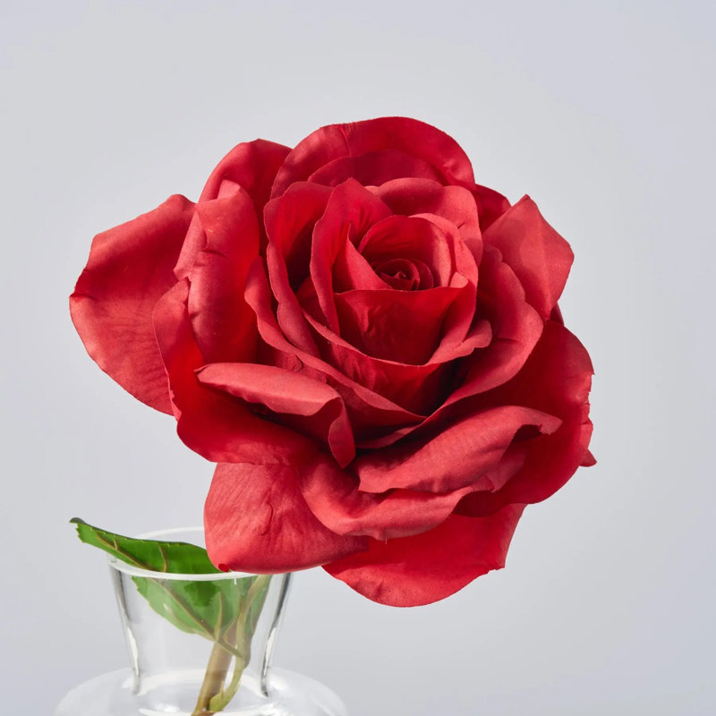 Arrangement illusion d'eau réelle Real Diana Rose