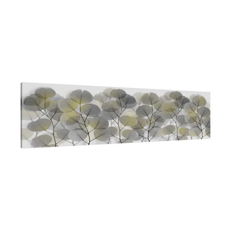 Thru The Brush - Wrapped Canvas Panoramic Print, 51cm H x 153cm W x 4cm D
