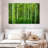 Alvord Bamboo Jungle-111960996