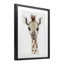 «Baby Giraffe Big Smile», reproduction sous verre encadrée, design par Ramona Murdock