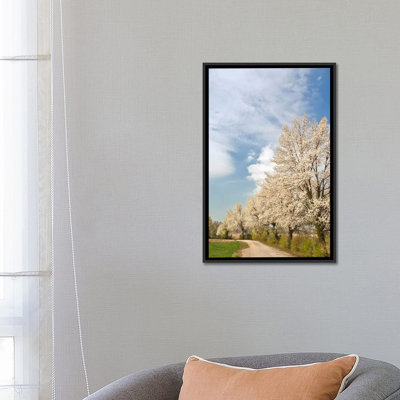 «Crabapple Trees with Blooms, Louisville, Jefferson County, Kentucky, USA», reproduction de photo sur toile