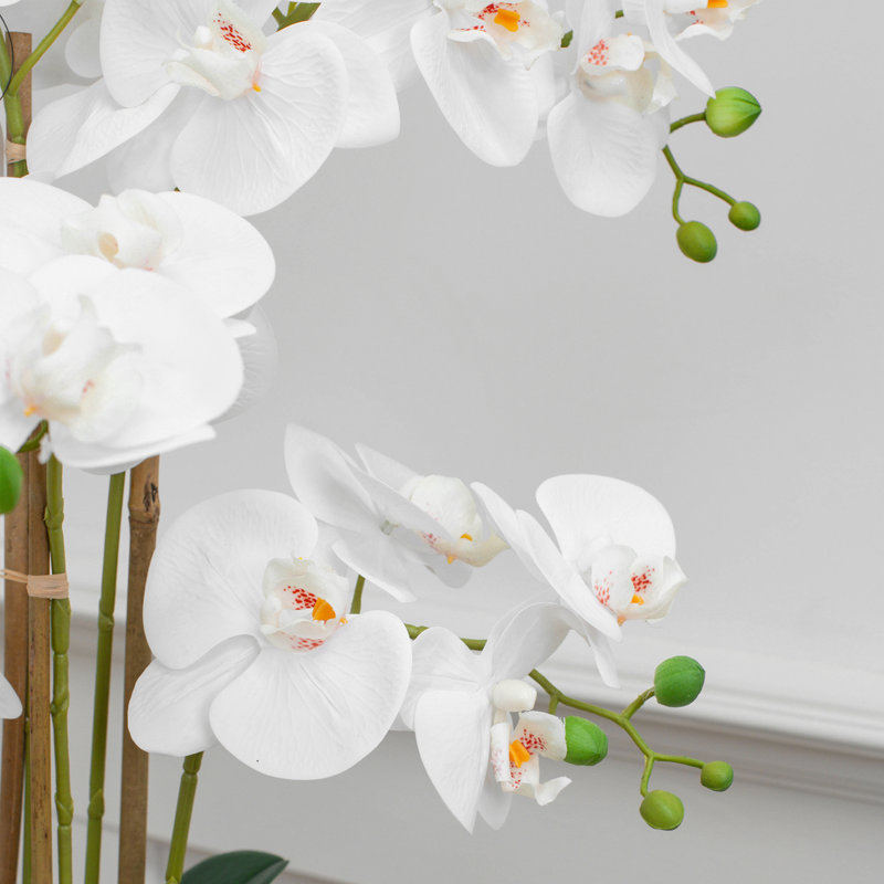Arrangement
