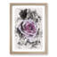 The Pale Purple Rose - Picture Frame Graphic Art-56924238-56924240