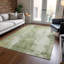 Tapis sauge lavable à la machine intérieur / extérieur Claudian ACN1649-104345721