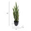 Plante de serpent artificielle Sansevieria en pot-117975311