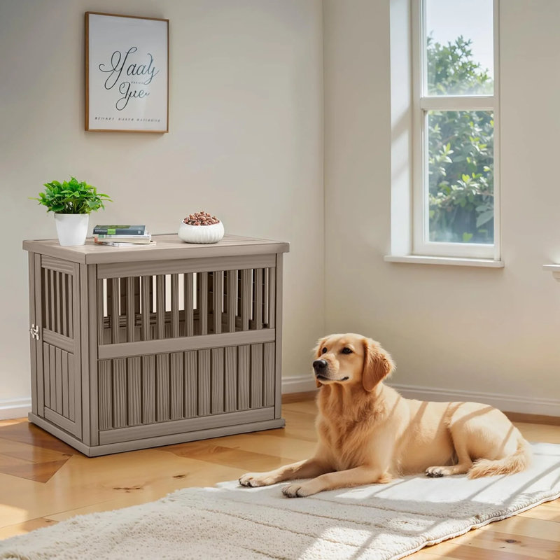 Chenil pour chien en résine légère, barrière verrouillable, visualisation et circulation d'air optimales, cage et table d'appoint pour animaux de compagnie, installation facile et utilisation robuste