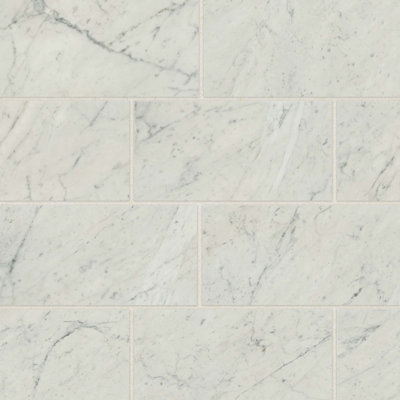 Carreau de porcelaine 12 po x 24 po Bianco Carrara