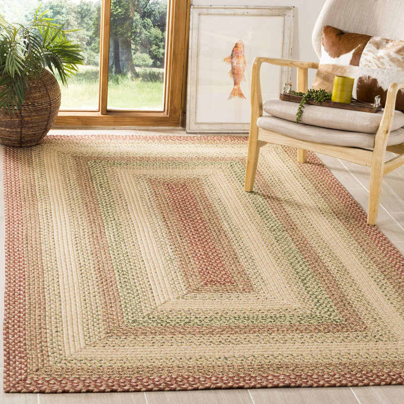 Georgina Braided Hand Woven Performance Machine Washable Geometric Indoor/Outdoor Area Rug, Rectangle 10' x 14'